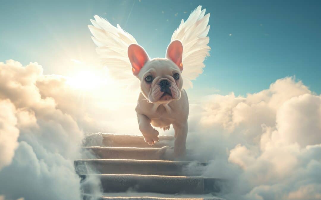 Honoring Your Pet’s Legacy Through Custom Artwork